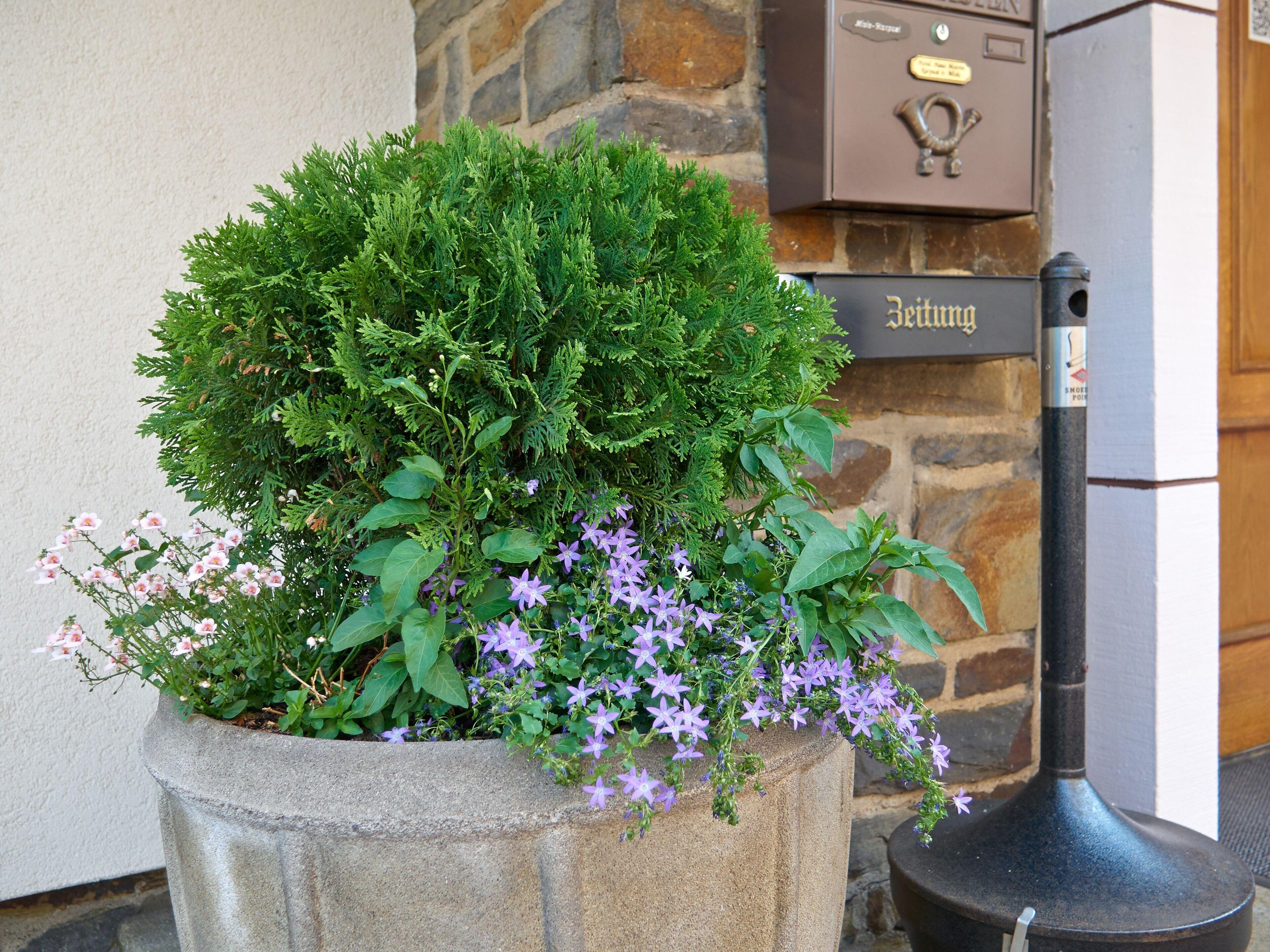 Haus Mooren, Hotel Garni — Fotos 1